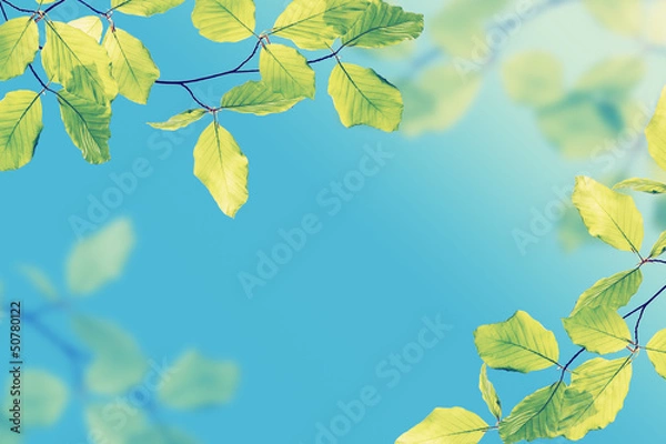 Obraz Liście vintage