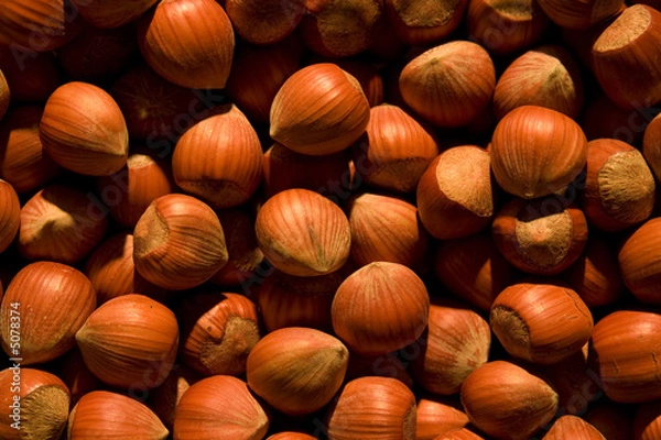 Fototapeta Alles Voller Nüsse
