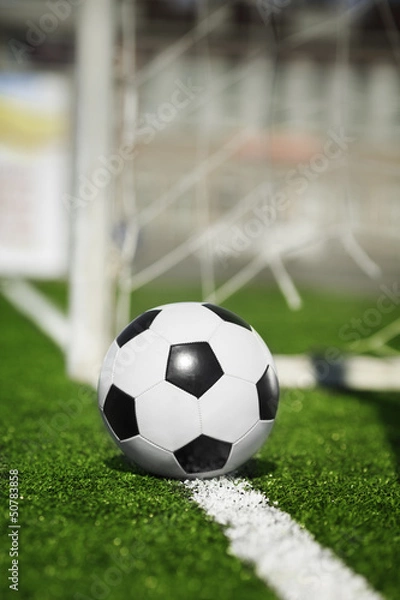 Obraz Soccer ball