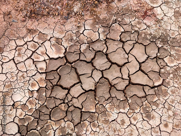 Obraz dry cracked ground in summer