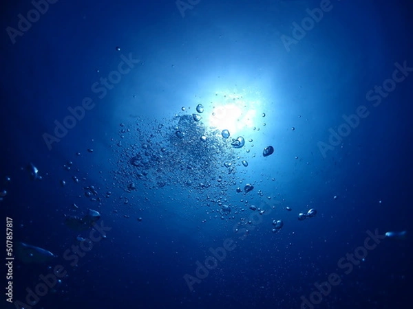 Obraz 石垣島ダイビング・海底より海面を臨む