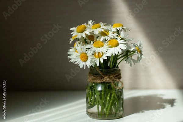 Fototapeta Summer still life scene with wild daisy chamomile flowers. Daisy chamomile flowers in glass jar on wight wooden table.