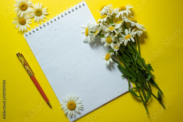 Fototapeta spring bouquet of white daisies with clean notebook to write on yellow backround. Copy space