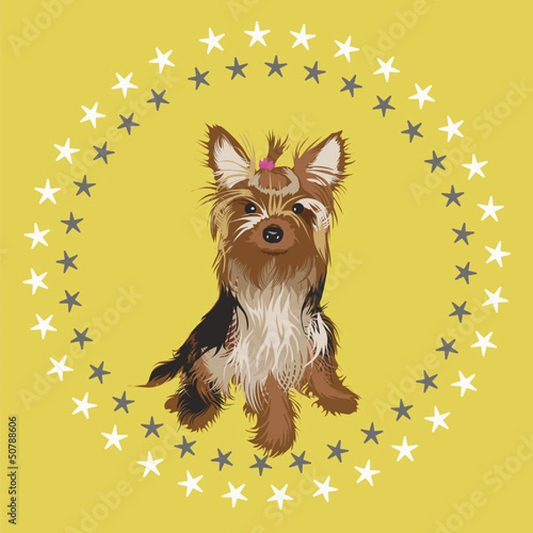 Obraz Beautiful yorkshire terrier vector illustration