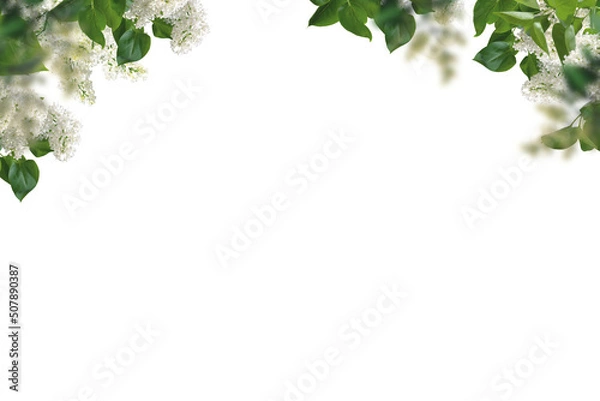 Fototapeta Flowers tree images tree plant images  decorated flower isolated in white background lilac png