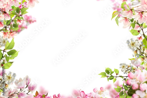 Obraz Tree branch flower Photo Overlays, Summer spring painted frame s, Photo art, png