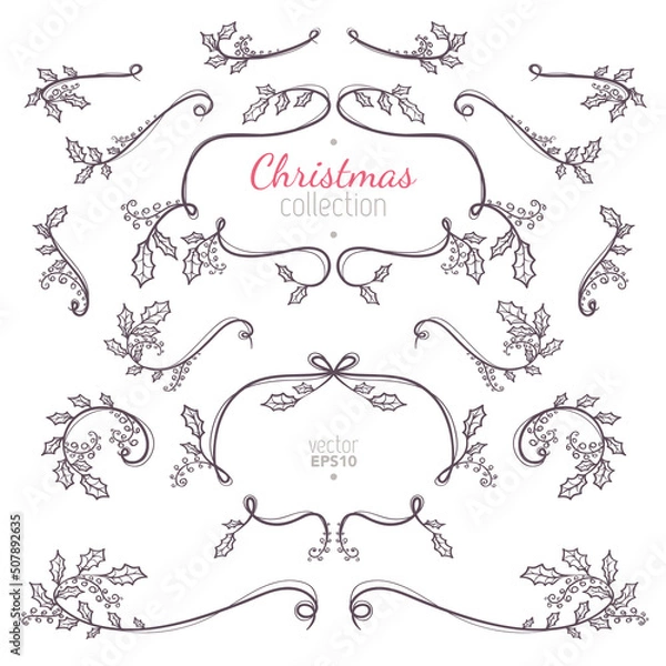 Obraz Christmas collection of nature elements with branches and leaves