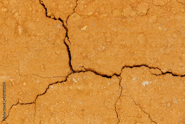 Fototapeta Texture or background flattened and cracked clay earth