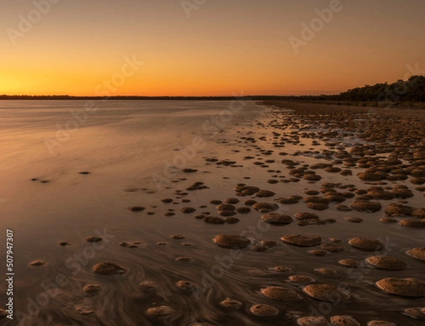Obraz The Lake Clifton thrombolites are approximately 2,000 years old and the largest in the southern hemisphere. 