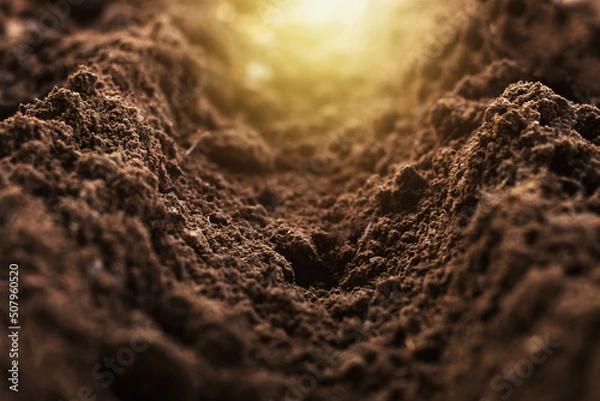 Fototapeta Close-up of fertile loam for the background