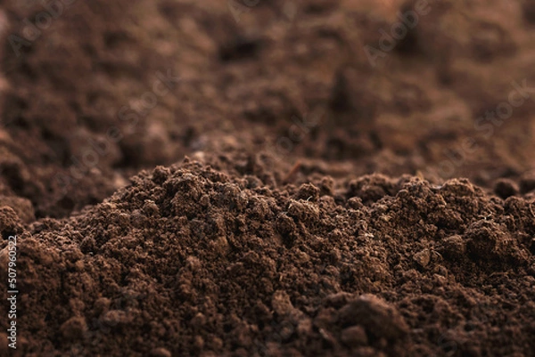 Fototapeta Close-up of fertile loam for the background
