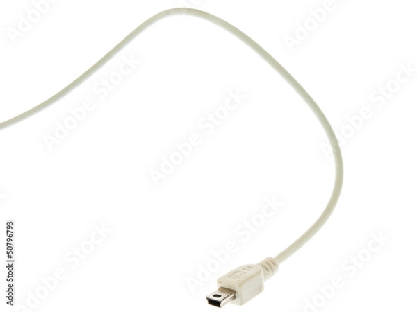 Fototapeta USB jack on a white background
