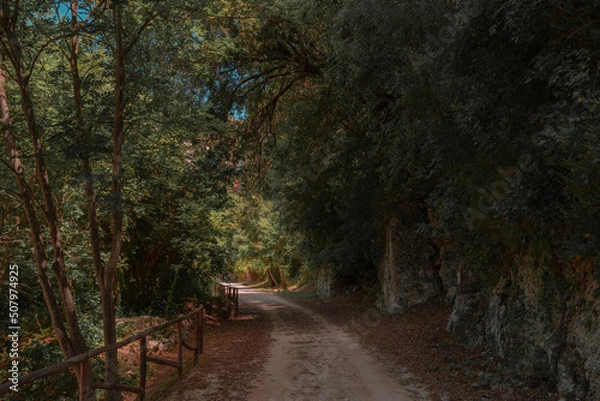 Obraz forest path by the river
