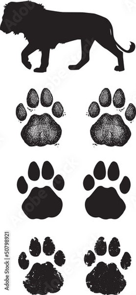 Obraz Oryginalny ślad lub ślad Lion