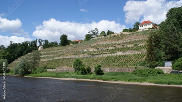 Obraz Weinberg, Elbe, Dresden, Fluss, Villa