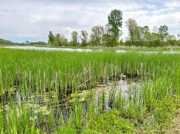 Obraz Beautiful landscape photography