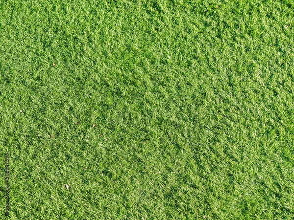Obraz cesped falso artificial textura  