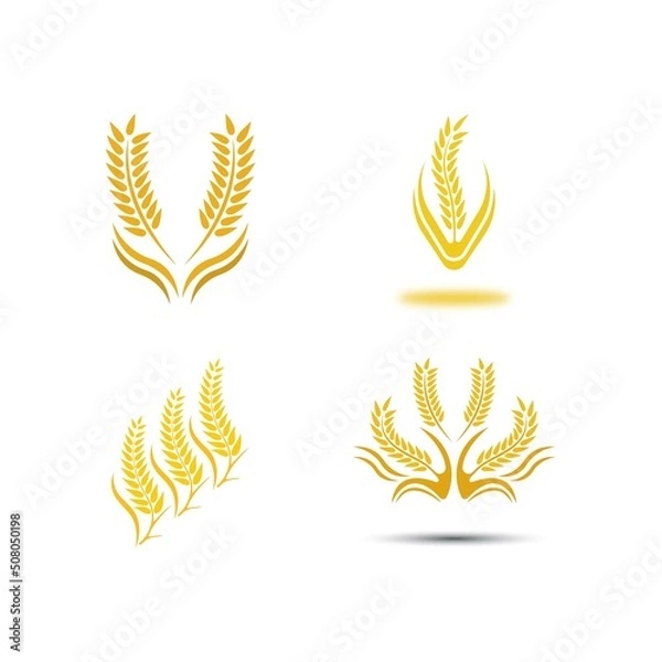 Obraz Wheat logo vector icon illustration