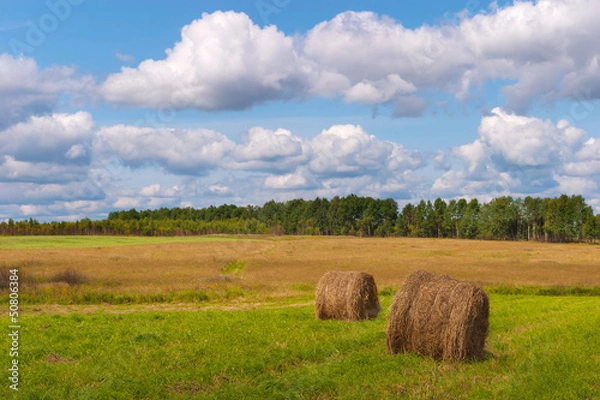 Fototapeta Round bale of straw in the meadow