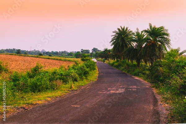 Obraz road in the countryside