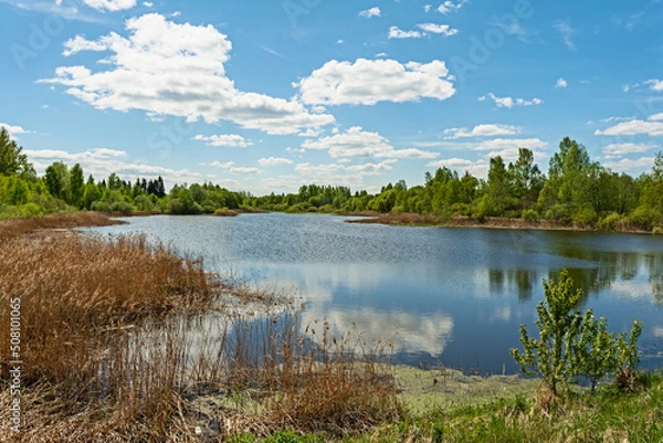 Fototapeta A blue lake with shores overgrown with grass and shrubs. Nature landscape background on spring day with cloudy sky