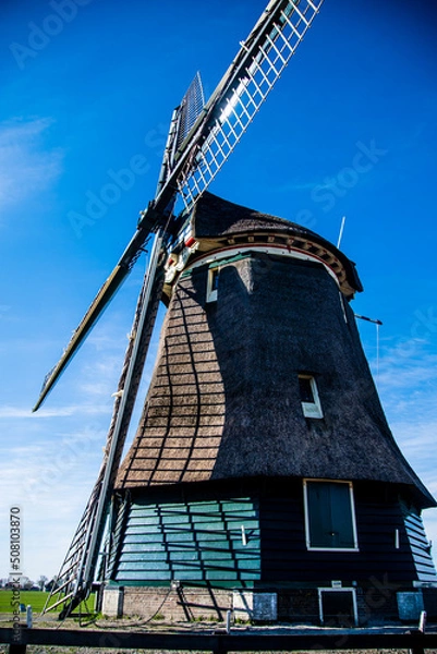 Obraz Dutch Windmill in bright sunshine