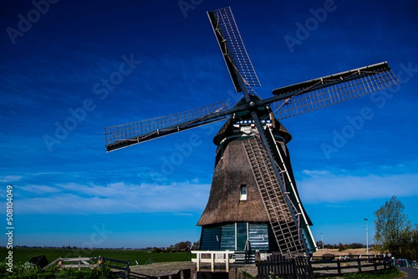 Obraz Dutch Windmill in bright sunshine