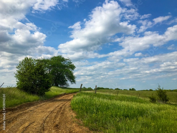 Fototapeta Field Road. A curve in a rural Northern Missouri dirt road leading through a tall green summer uncut hayfield with billowing white puffy clouds serving as a backdrop. Near Winigan, Missouri 05-2022