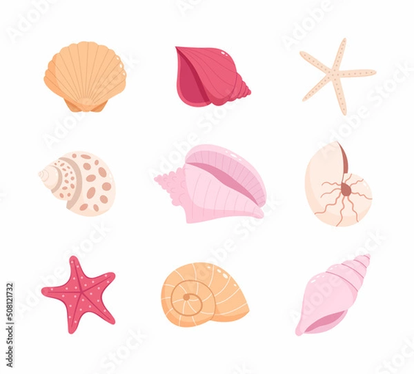 Obraz Set of sea shells and starfishes