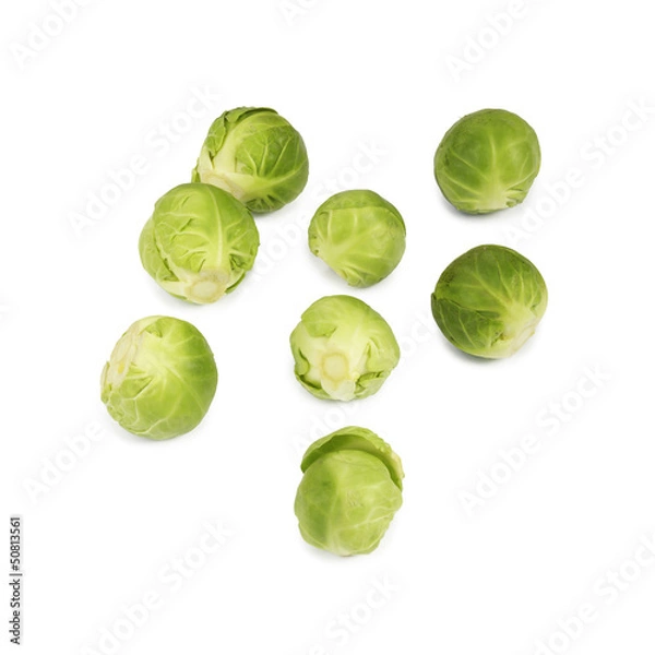 Obraz Brussels sprouts