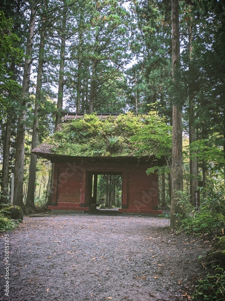 Fototapeta 日本の古い門