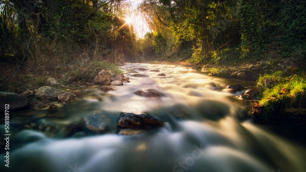 Fototapeta stream in the forest