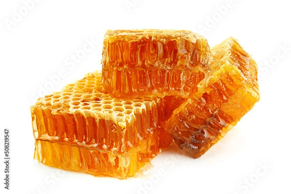 Obraz Honeycomb slice closeup on white