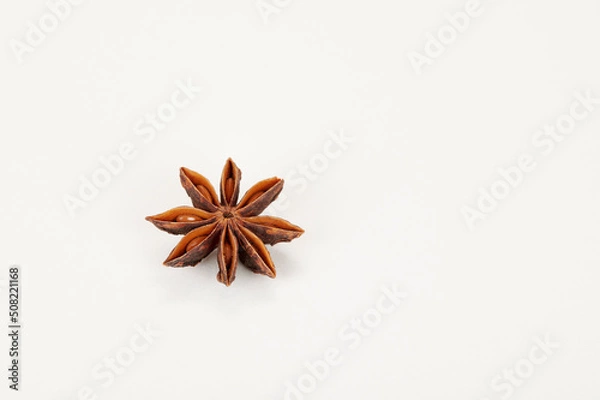 Fototapeta Closeup (macro) shot of single star anise on a white background