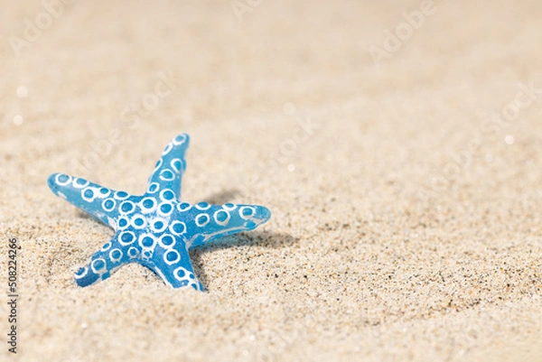 Fototapeta Summer background with blue seashell on beach sand background. Copy space