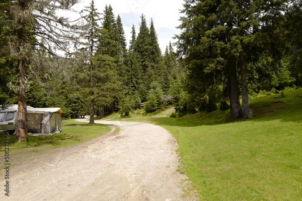 Fototapeta camping zone near trail path with trees