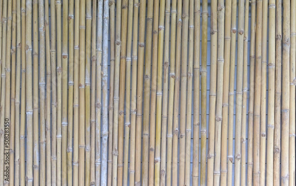 Fototapeta Bamboo texture panel background