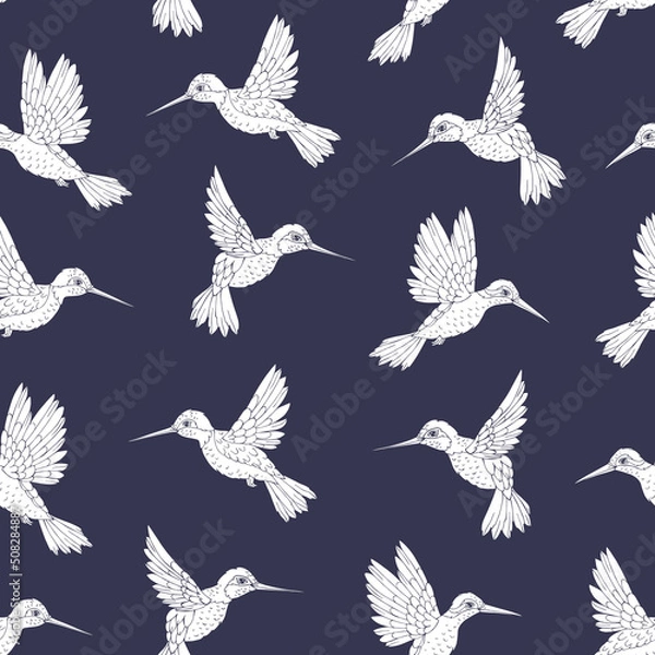 Fototapeta Vector seamless pattern with hummingbird. Decoration print for wrapping, wallpaper, fabric. Seamless vector texture.