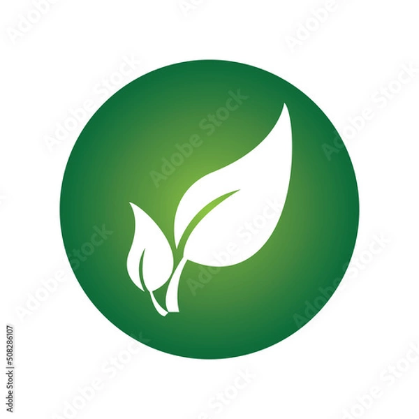 Fototapeta leave logo vector design and icon