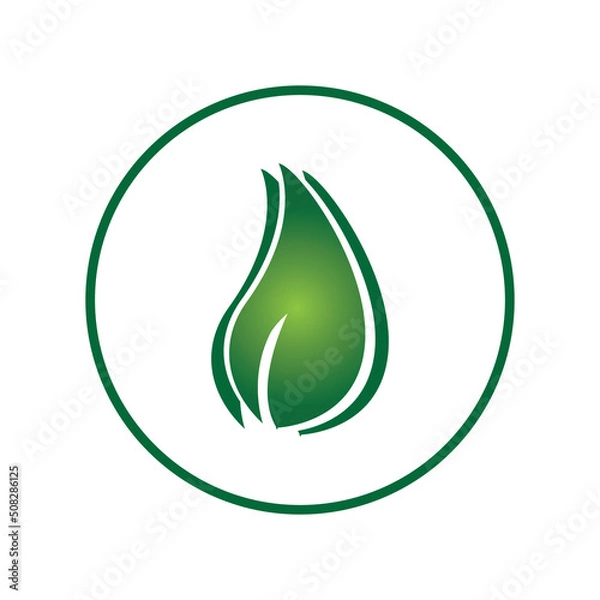 Fototapeta leave logo vector design and icon