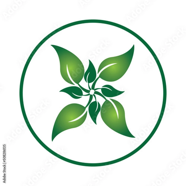 Fototapeta leave logo vector design and icon