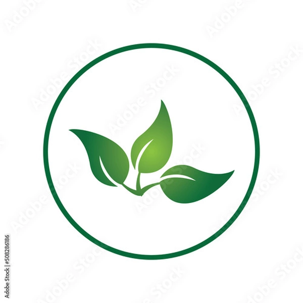 Fototapeta leave logo vector design and icon