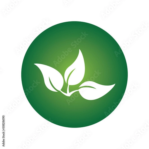 Fototapeta leave logo vector design and icon