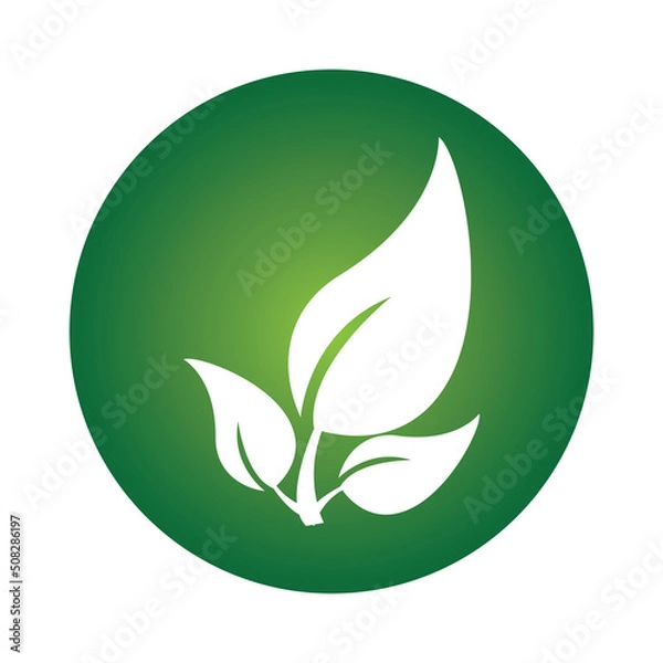 Fototapeta leave logo vector design and icon