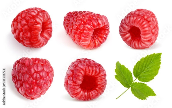 Fototapeta Raspberry collection isolated on white background