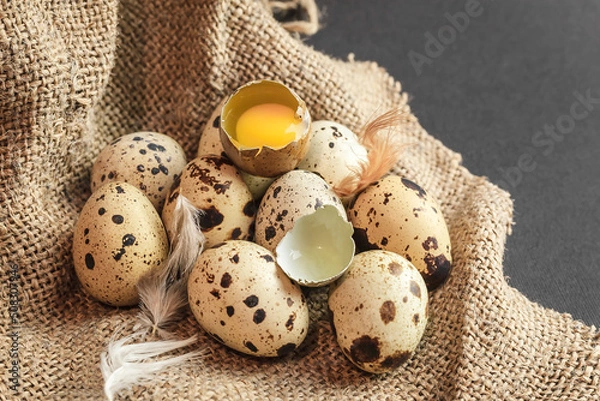 Obraz Fresh quail eggs on a dark background