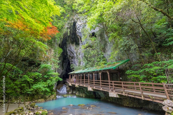 Fototapeta 洞窟内　山口県　美祢市　秋芳洞　鍾乳洞　洞窟　川　地下水