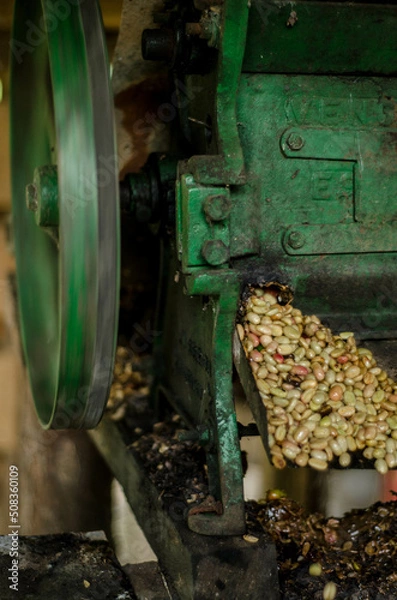 Obraz Colombia, sus colores y aromas
