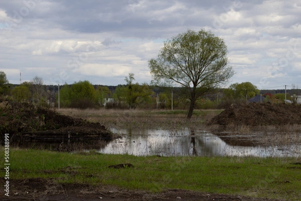 Obraz river in the forest