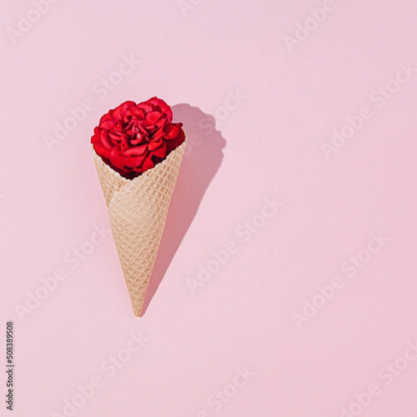Fototapeta Waffle cone with red rose flower, on pink background. Flat laid, floral background top view, summer concept
